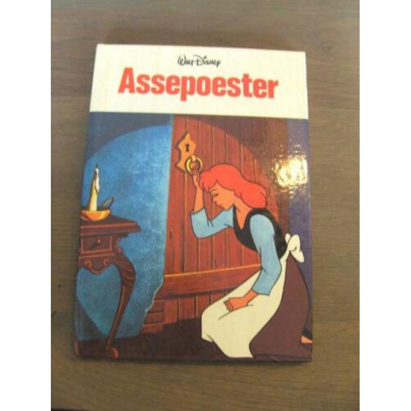 Disney boek: Assepoester