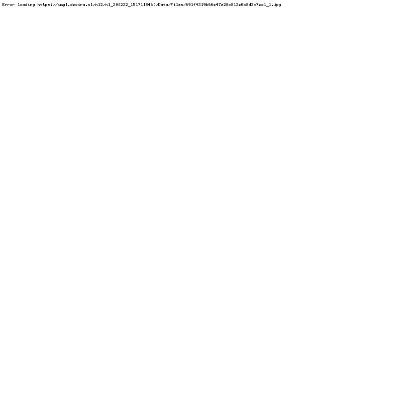 Playmobil adventskalender - manege- 4159 met stevig decor