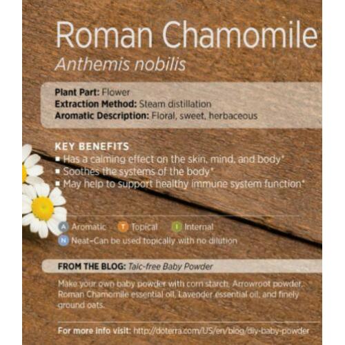 doTERRA Roman Chamomile/Romeinse Kamille 5ml, extra korting