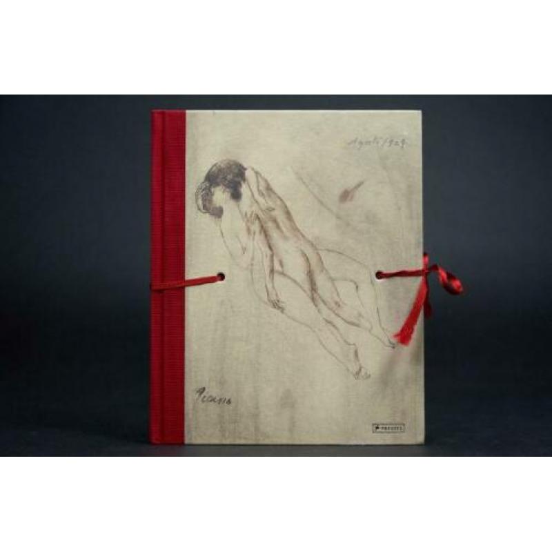 Pablo Picasso - Erotic Sketchbook
