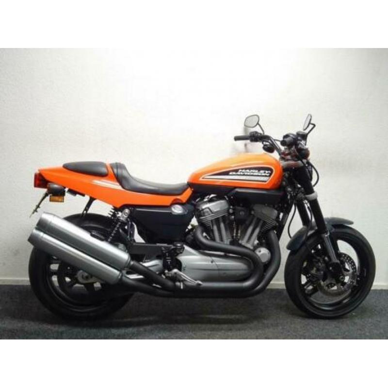 Prachtige Harley-Davidson XR 1200 (bj 2008)
