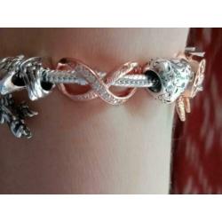infinity ROSE oneindige liefde Forever Family past Pandora