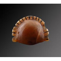 Egyptian crystal Cowrie shell amulet